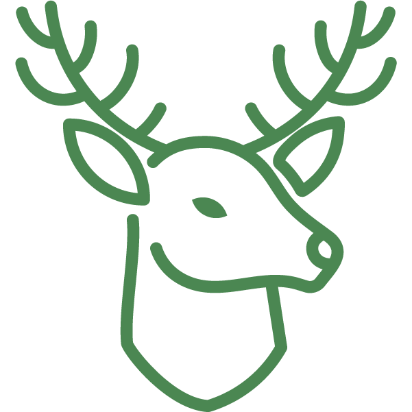 Vet Icon-Asset4