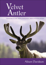 Velvet Antler